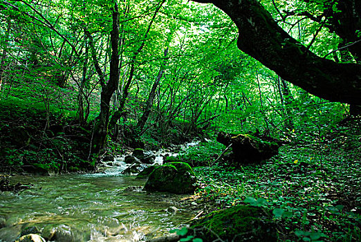 xố