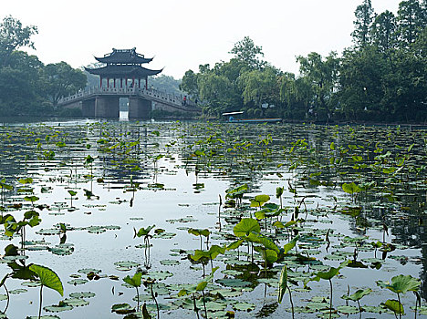 thống kê giải đặc biệt theo tháng