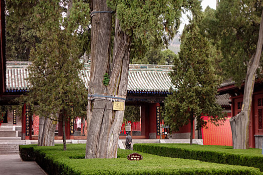 xổ số long an trực tiếp