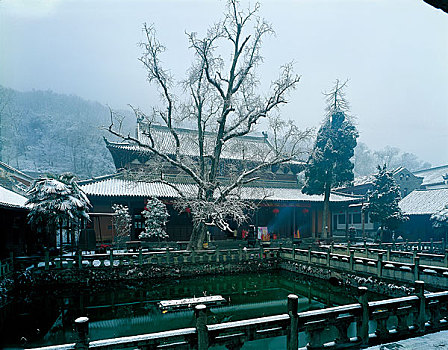 xổ số mẹ