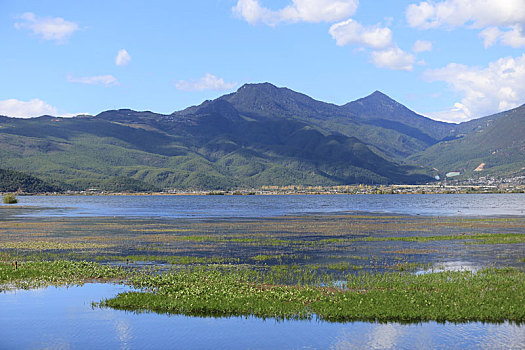 soi cầu lo