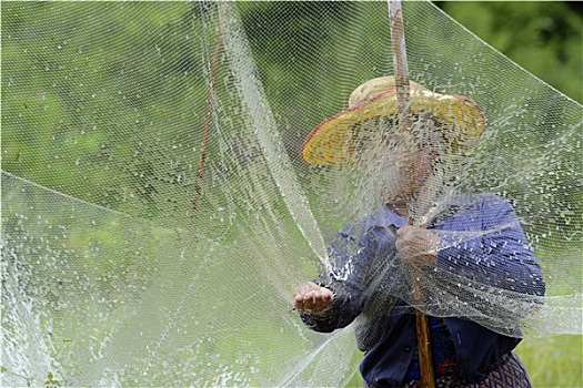 thống kê lô theo ngày