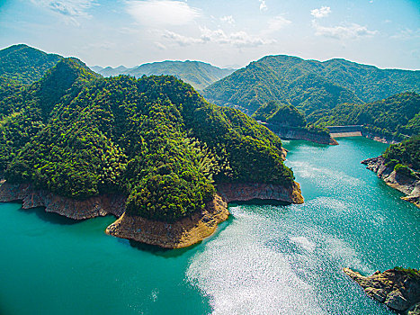 bạch thủ đề ngày mai