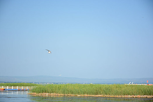 xs khanh hoa
