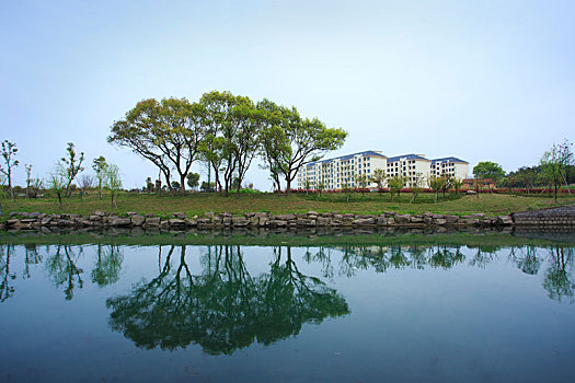 soi cầu lô bạch thủ hôm nay