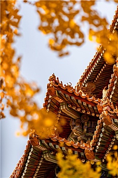 soi cau bach thu xo so mien bac