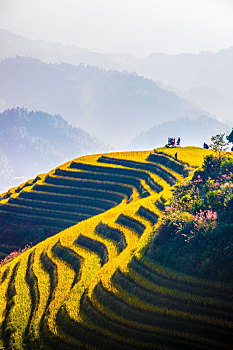 soi cầu kết quả xổ số