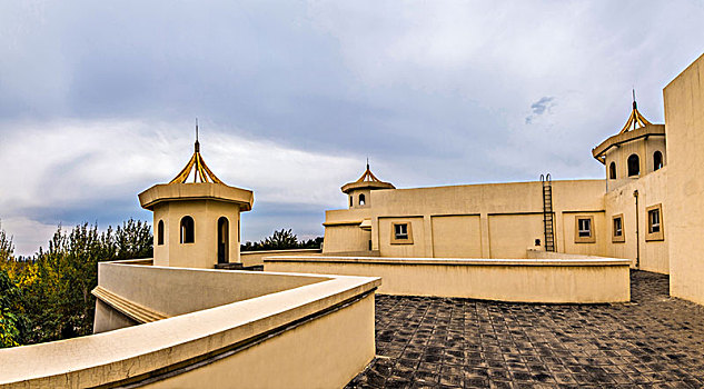 soi cau vinh log 568