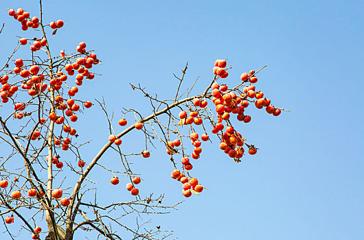 xem xổ số