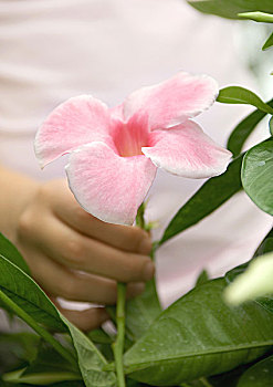 dự đoán xổ số ba miền