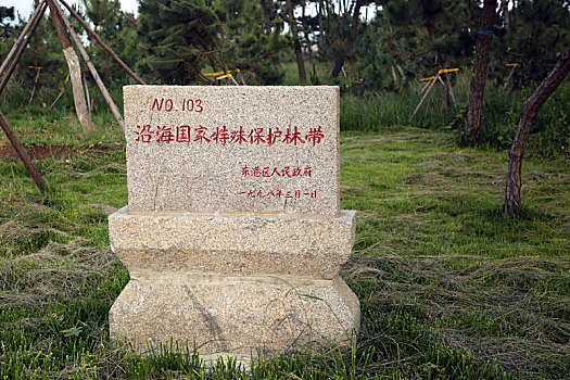 xổ số tiền giang hàng tuần