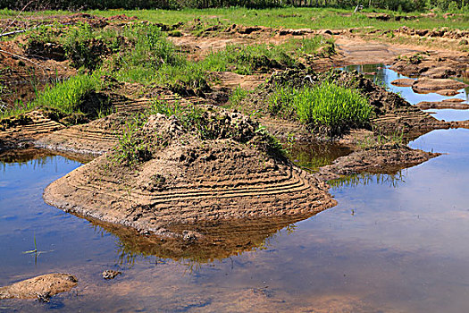 xsmb theo tuần