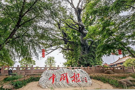 xổ số đồng nai trực tiếp