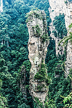 soi câu miễn phí