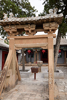 rong bach kim 88 99