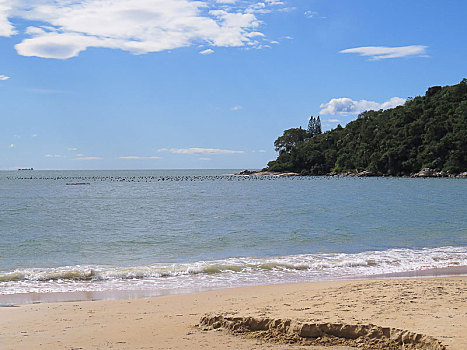 soi cầu mo bi