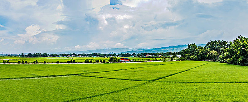 trực tiếp xổ số