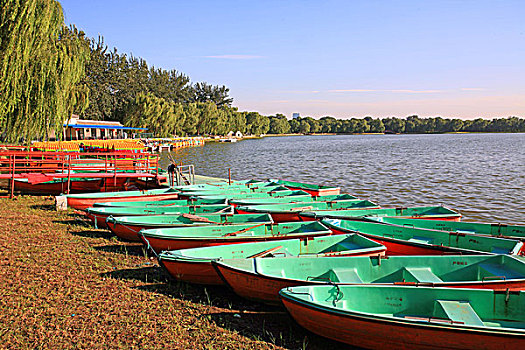 soi cau