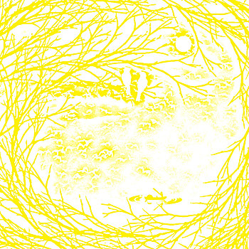 thong ke rong bach kim