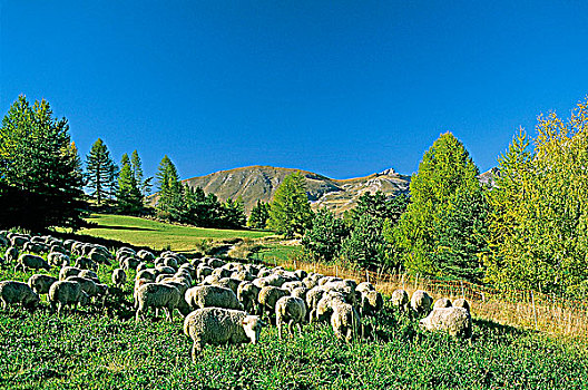 kqxs khánh hòa