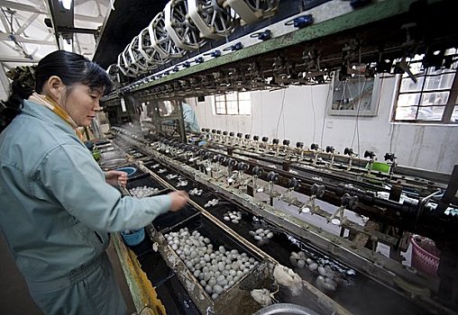 số xổ số miền bắc
