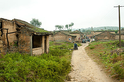 soi cau mien phi 88