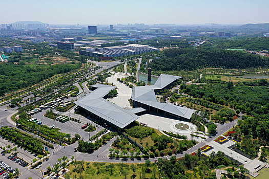 bạch thu lo mb