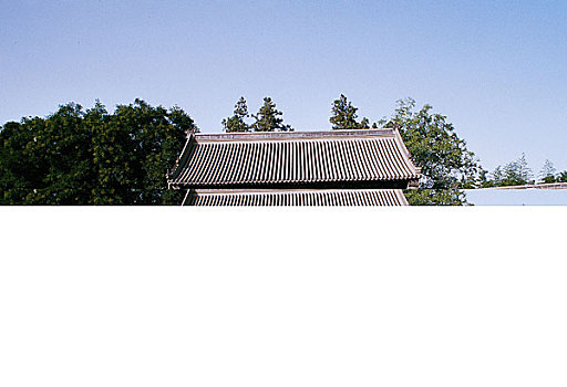 lô đề 88