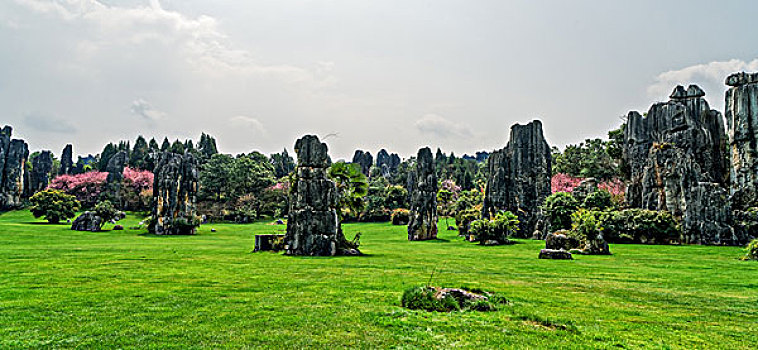 soi cau xsmb chinh xac
