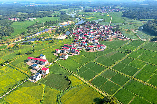 soi cau sieu chuan 6886