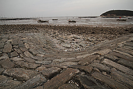 soi cau xo so vung tau