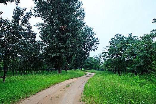 chơi số đề online