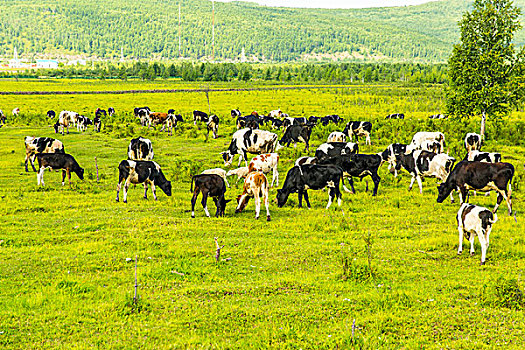 phân tích lô đề hôm nay