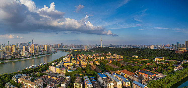 soi cau bach thu khung 3 ngay