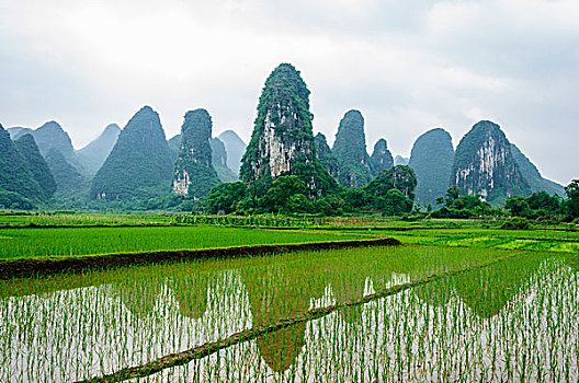 xô sô miên bac