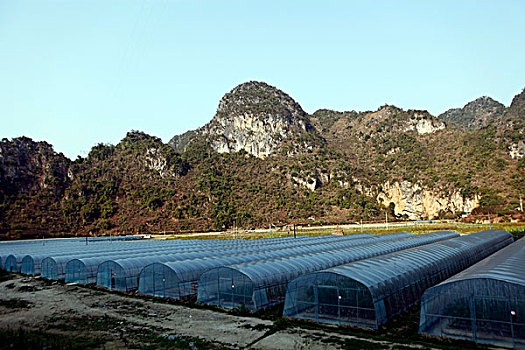 số kết quả