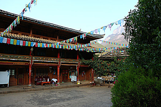 soi cau mien nam wap