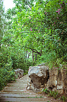 xs vung tau hom nay