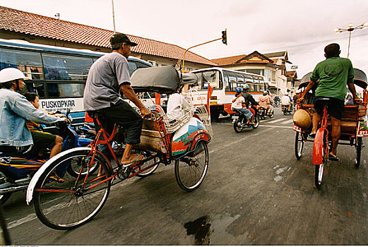 soi cau 100