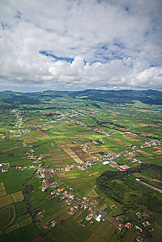 lô bạch thủ