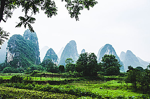 soi cầu lô đề ngày hôm nay