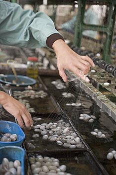 soi cầu 3 miền miễn phí
