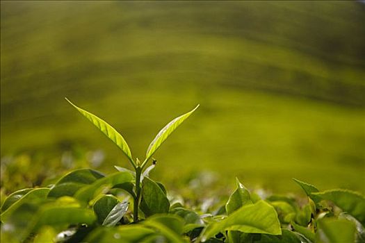 soi cầu bạch thủ miền nam miễn phí