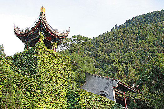 thống kê xổ số đắk lắk