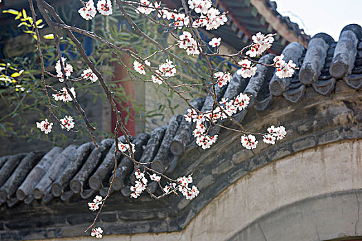 xổ số 3