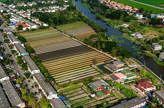 soi cầu miền bắc ngày hôm nay