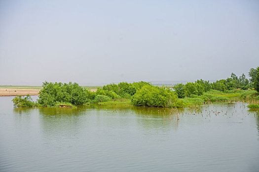 bach thu lo mien bac hom nay