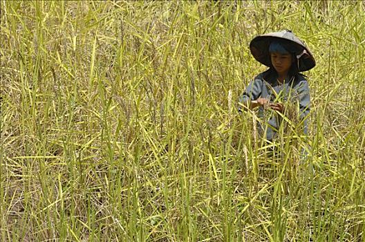 cách đánh lô miền bắc hiệu quả
