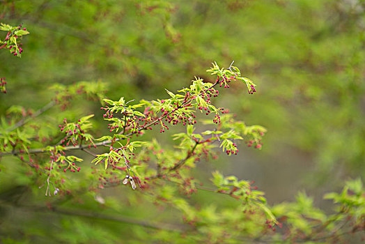 xổ số quảng ngãi hôm nay
