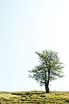 soi cầu hôm nay